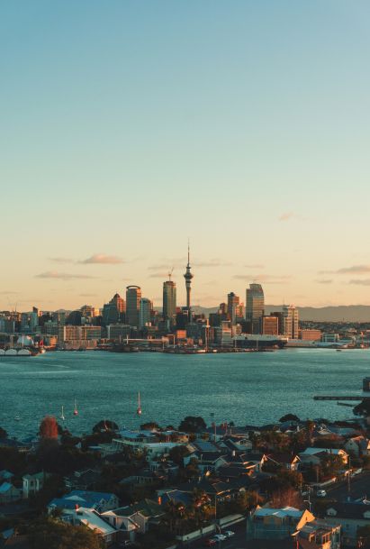 New Zealand - Active Investor Plus Visa 2 New Zealand Active Investor Plus Visa 4