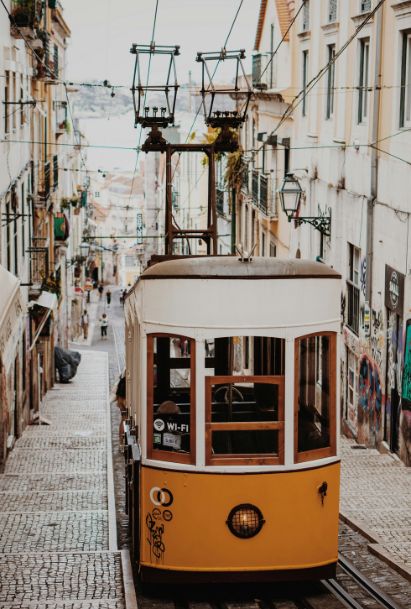 Portugal Highly Qualified Activity Visa 5