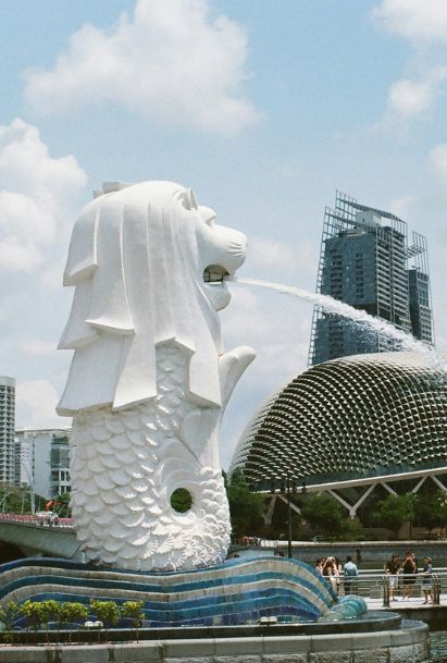 Singapore Global Investor Program 4